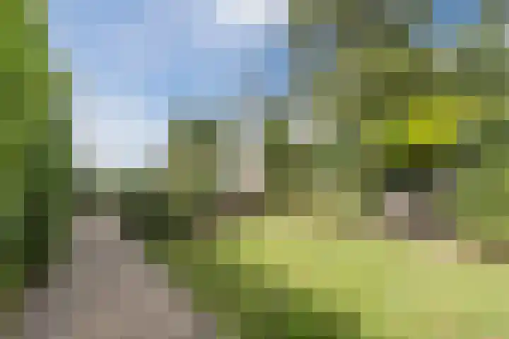 Molenweg 37 a Wieringerwaard thumbnail 64