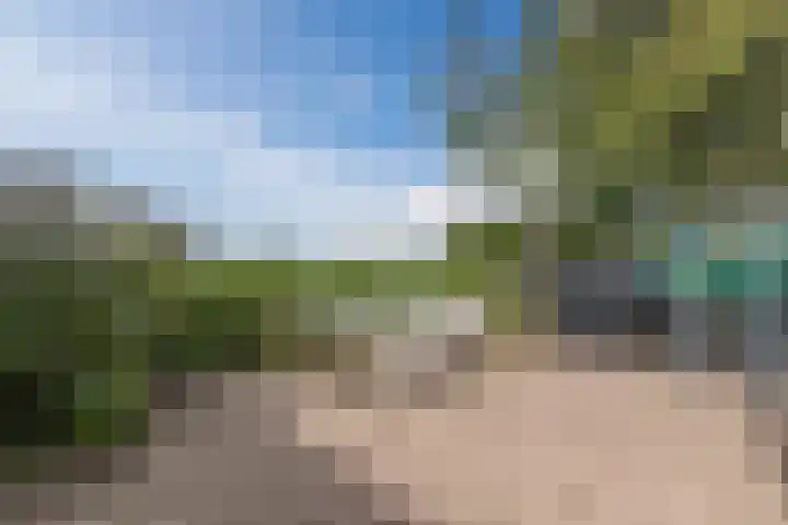 Molenweg 37 a Wieringerwaard thumbnail 65