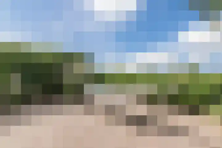 Molenweg 37 a Wieringerwaard thumbnail 68