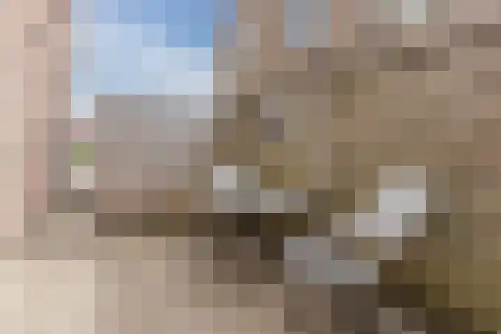 Molenweg 37 a Wieringerwaard thumbnail 69