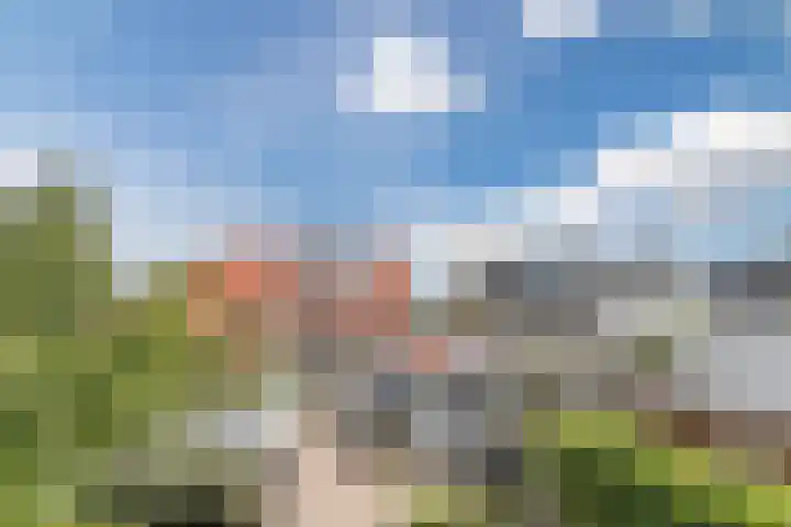 Molenweg 37 a Wieringerwaard thumbnail 71