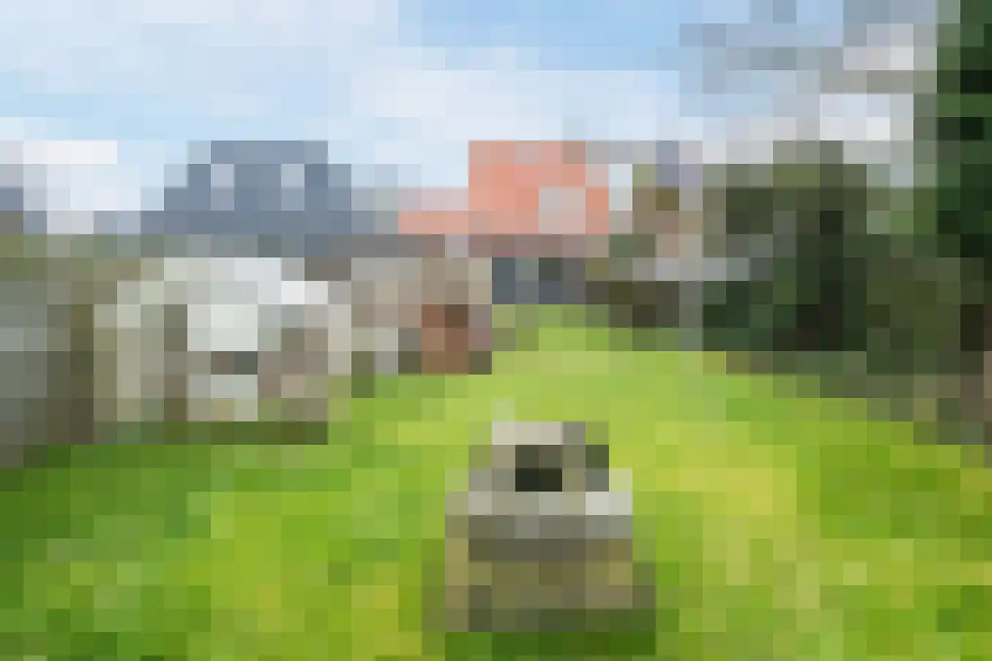 Molenweg 37 b Wieringerwaard thumbnail 38