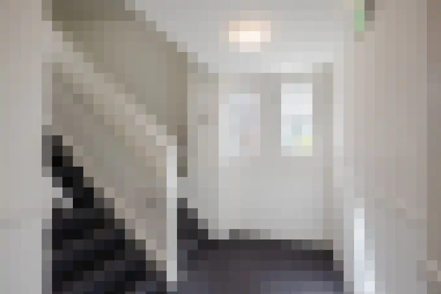 Molenweg 38 G Zwolle thumbnail 13