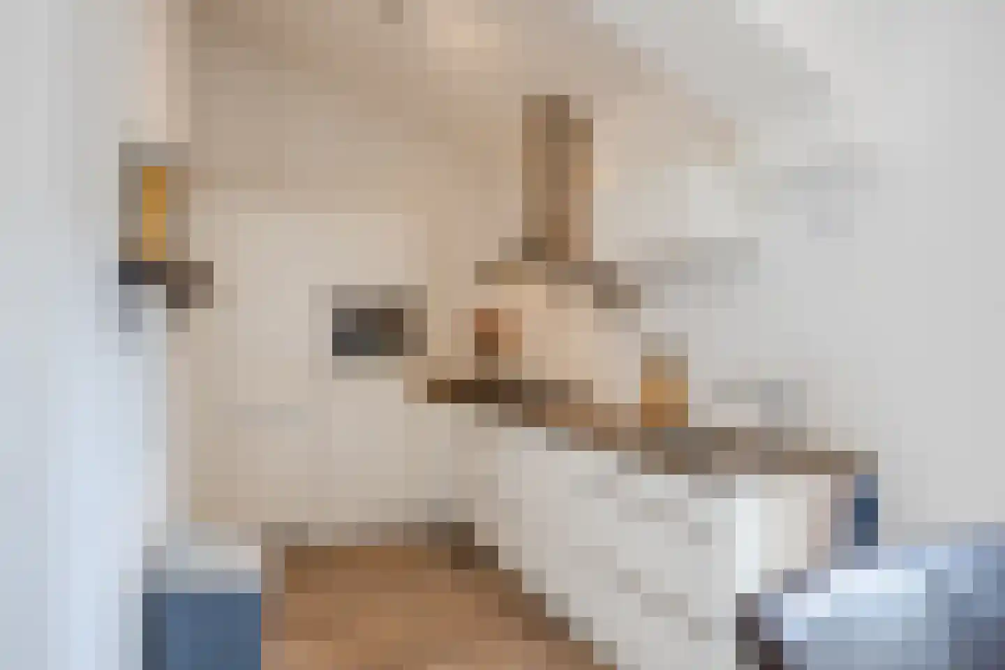 Molenweg 38 G Zwolle thumbnail 24