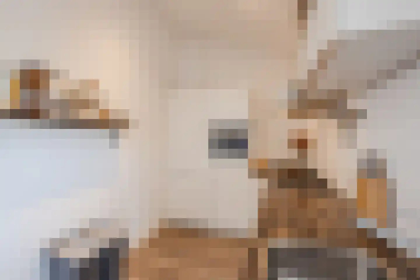 Molenweg 38 G Zwolle thumbnail 25