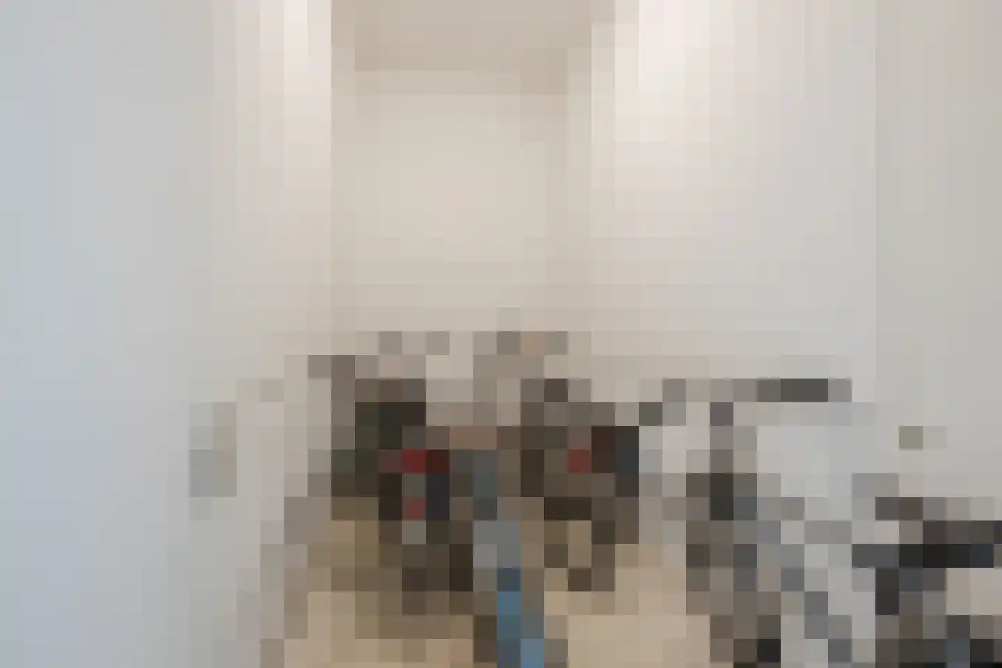 Molenweg 38 G Zwolle thumbnail 32