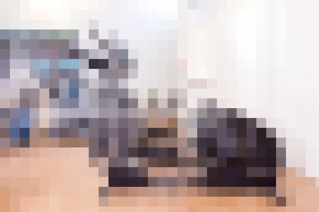 Molenweg 38 G Zwolle thumbnail 35