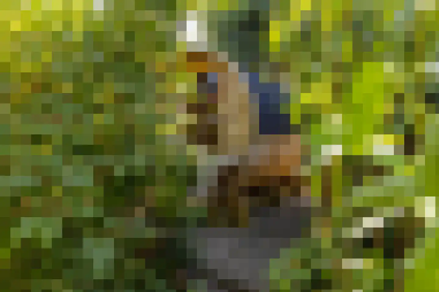 Molenweg 39 Haren Gn thumbnail 37
