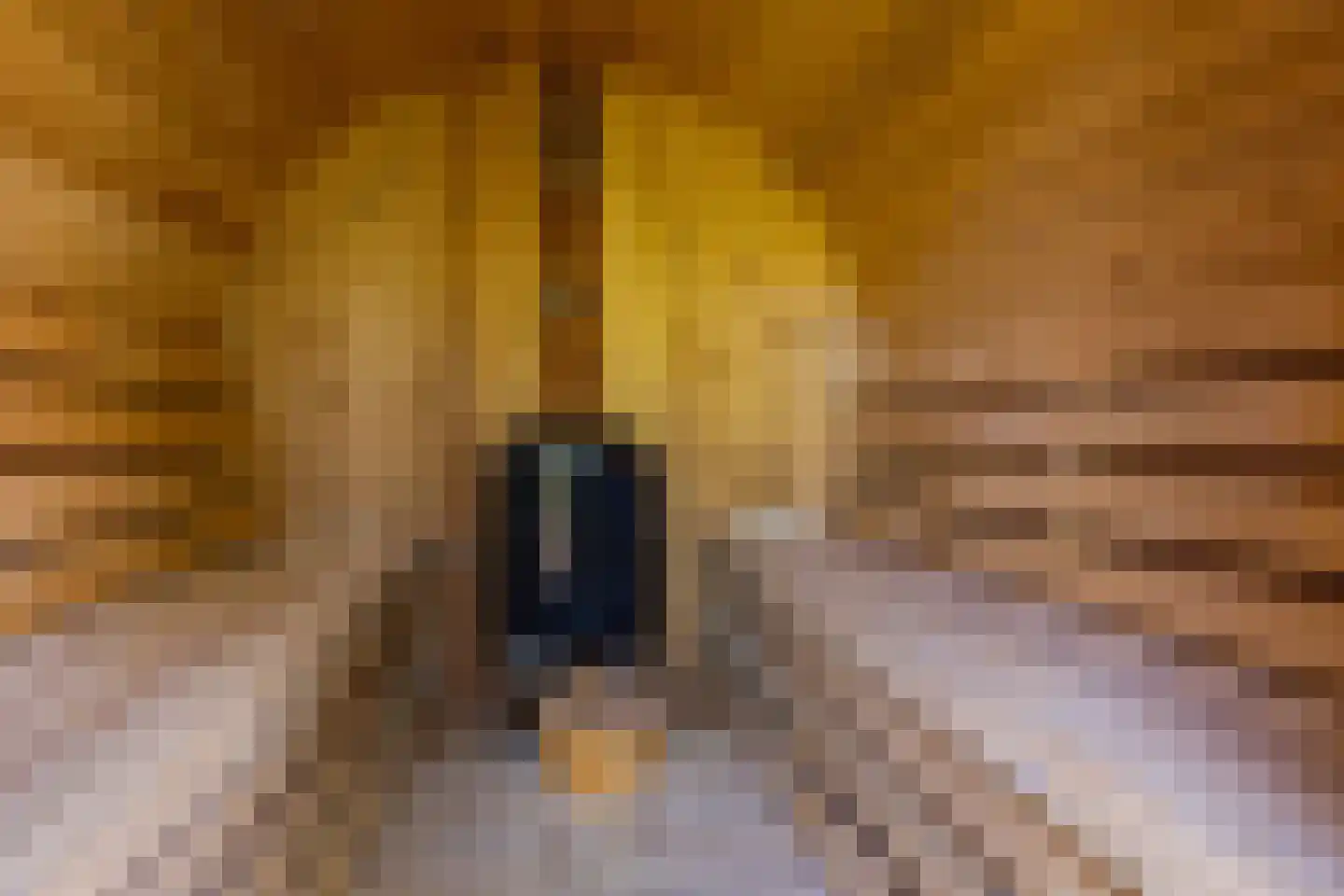 Molenweg 39 Haren Gn thumbnail 38