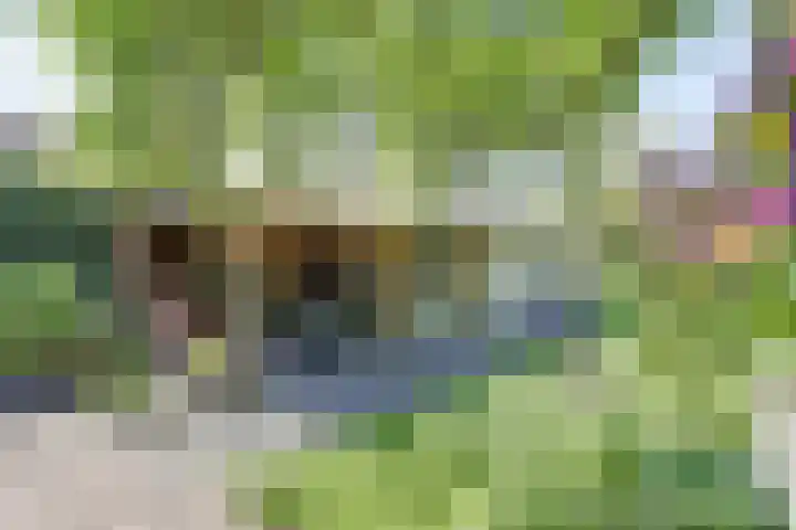 Molenweg 39 Nunspeet thumbnail 28
