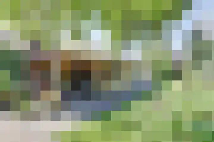 Molenweg 39 Nunspeet thumbnail 29