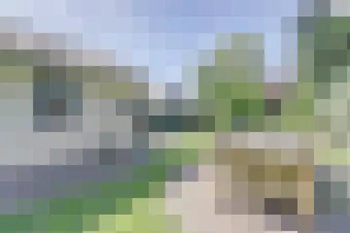 Molenweg 39 Nunspeet thumbnail 32