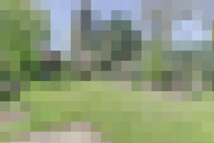 Molenweg 39 Nunspeet thumbnail 33