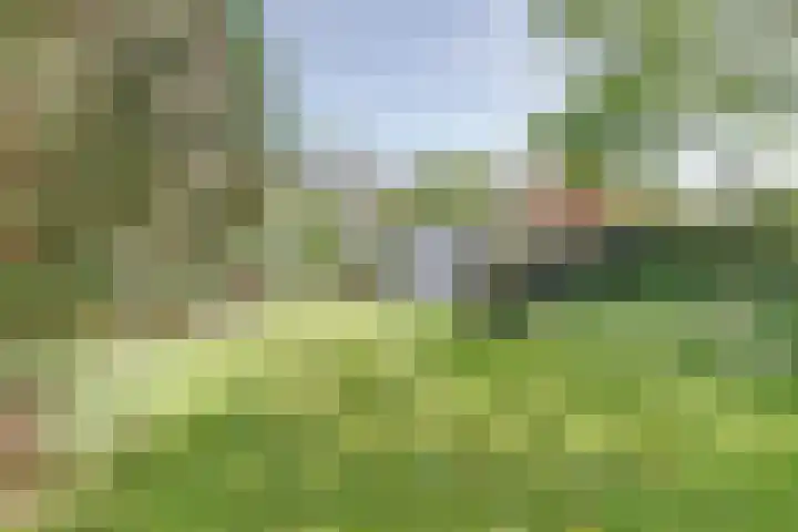 Molenweg 39 Nunspeet thumbnail 34