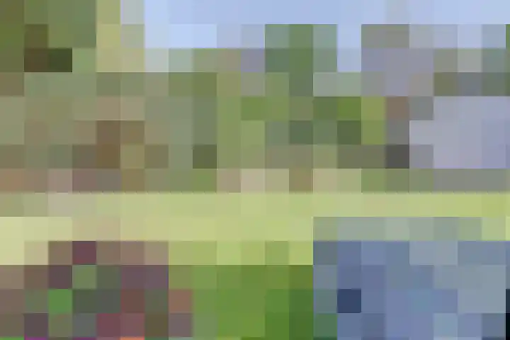 Molenweg 39 Nunspeet thumbnail 36