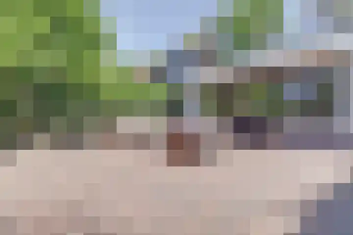 Molenweg 39 Nunspeet thumbnail 38