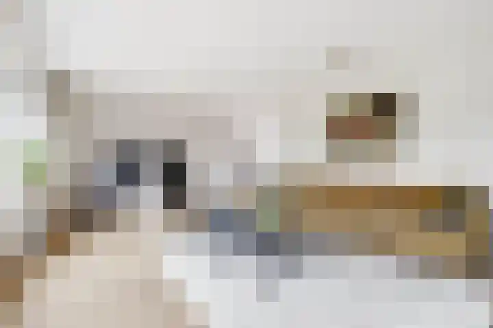Molenweg 39 Nunspeet thumbnail 7