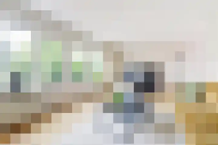 Molenweg 39 Nunspeet thumbnail 8