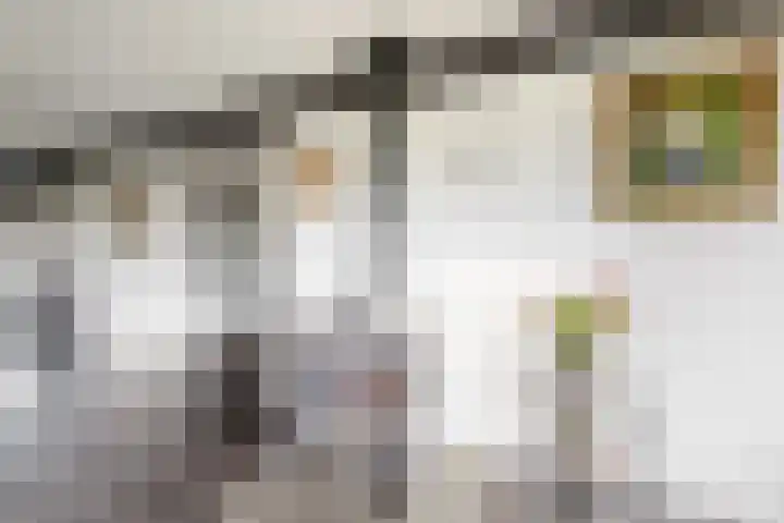 Molenweg 4 Burgerbrug thumbnail 10