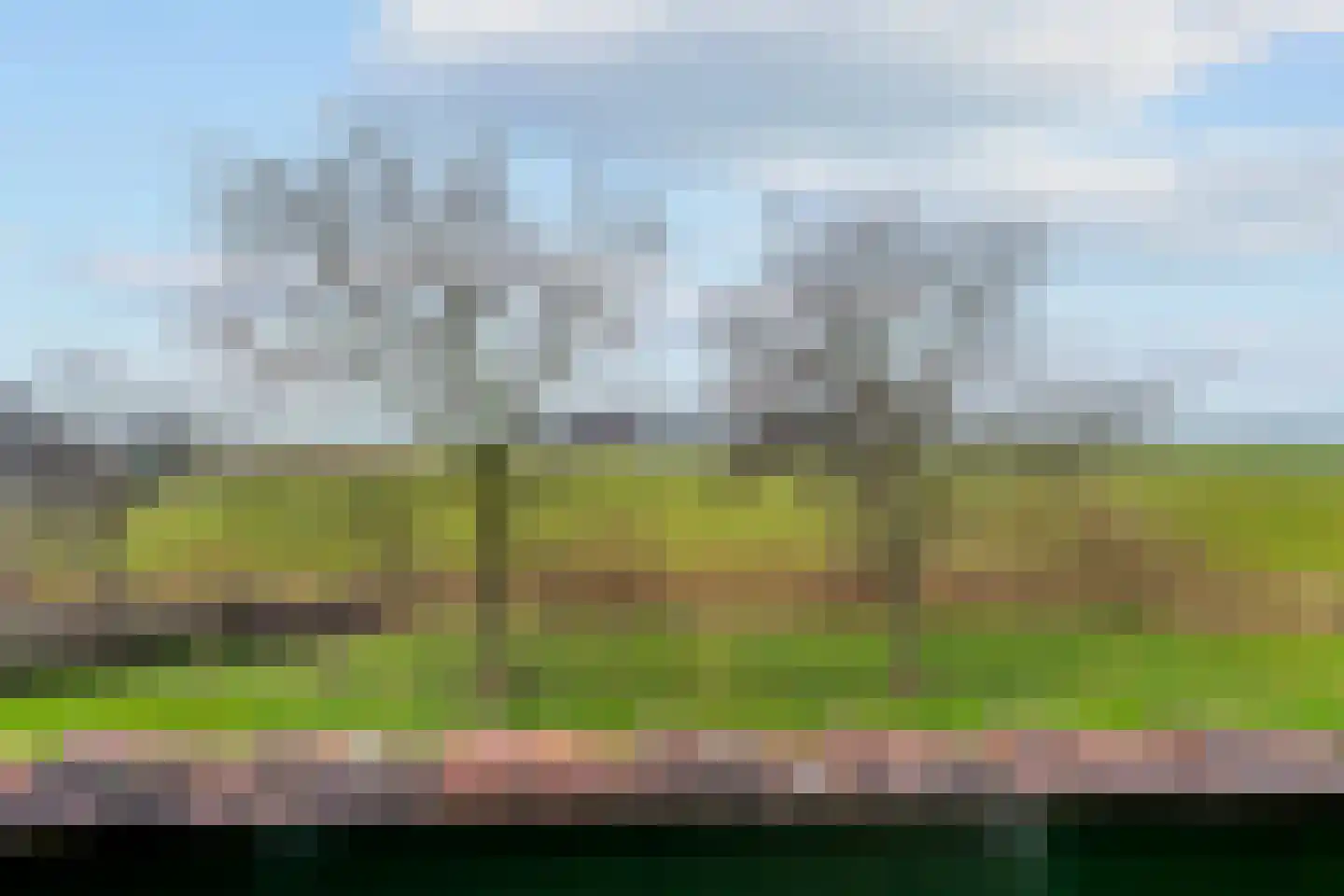Molenweg 4 Burgerbrug thumbnail 34