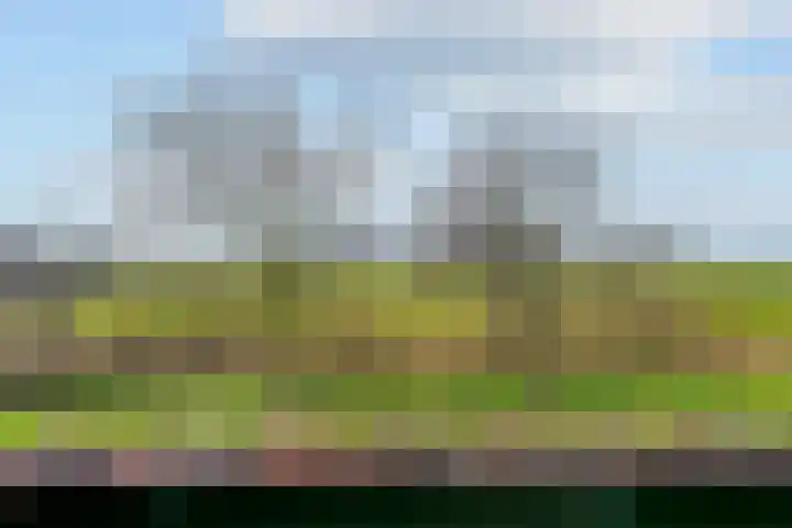 Molenweg 4 Burgerbrug thumbnail 34