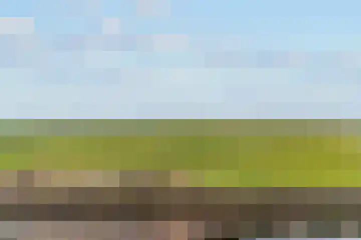 Molenweg 4 Burgerbrug thumbnail 35