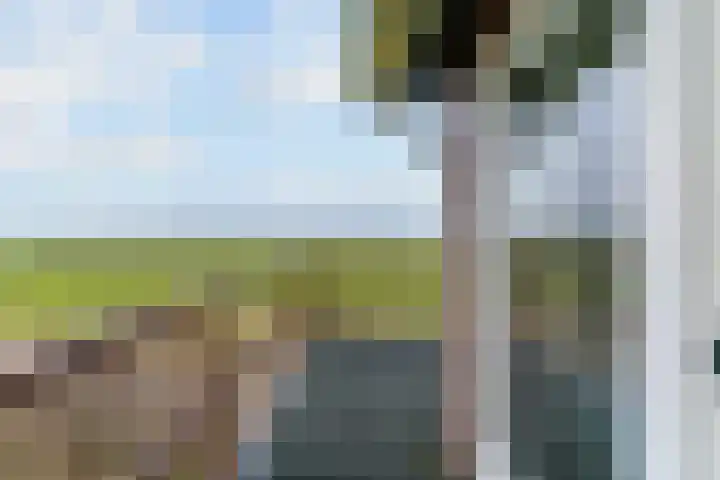 Molenweg 4 Burgerbrug thumbnail 47