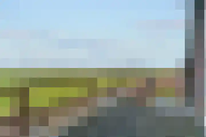 Molenweg 4 Burgerbrug thumbnail 49
