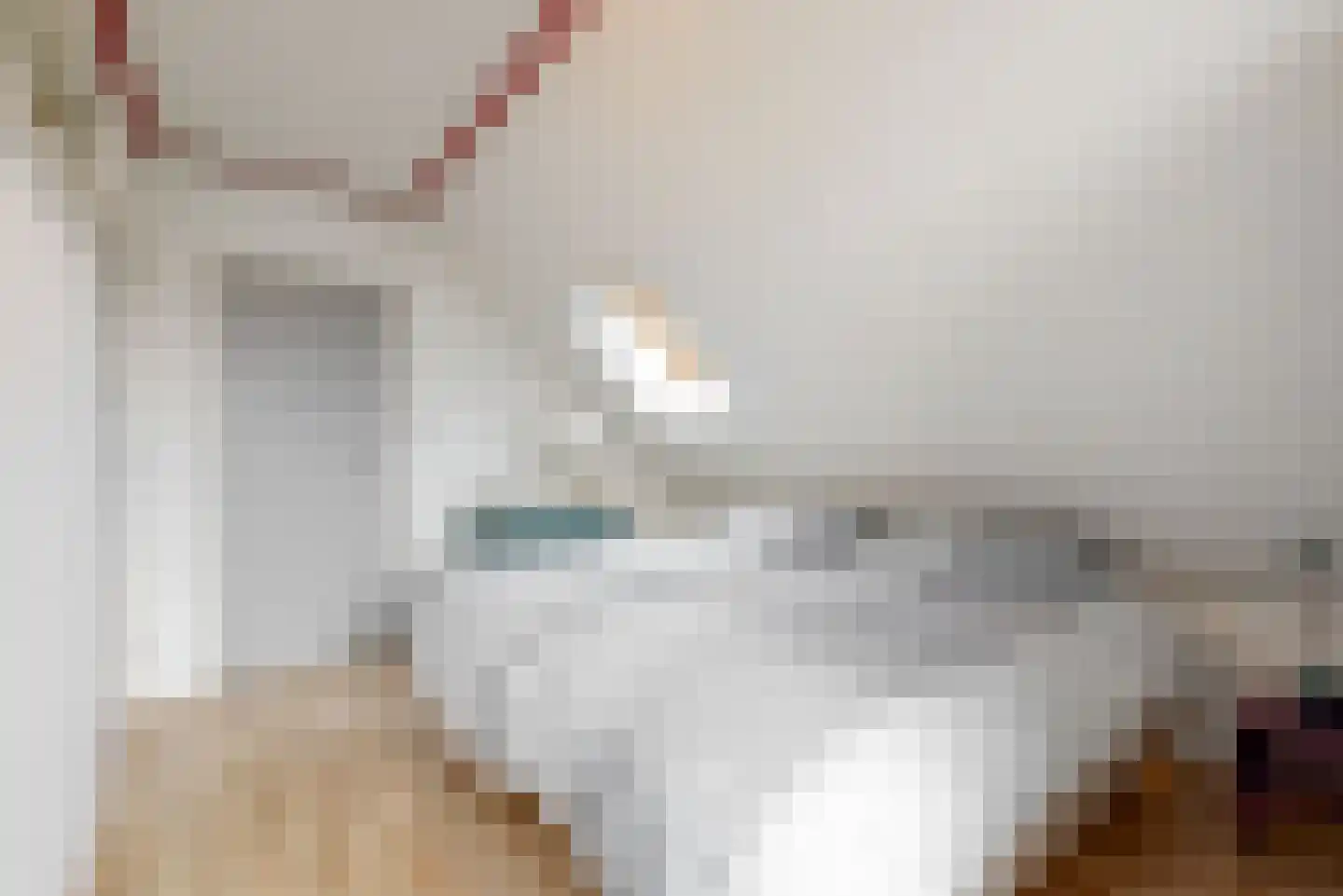 Molenweg 4 Burgerbrug thumbnail 54