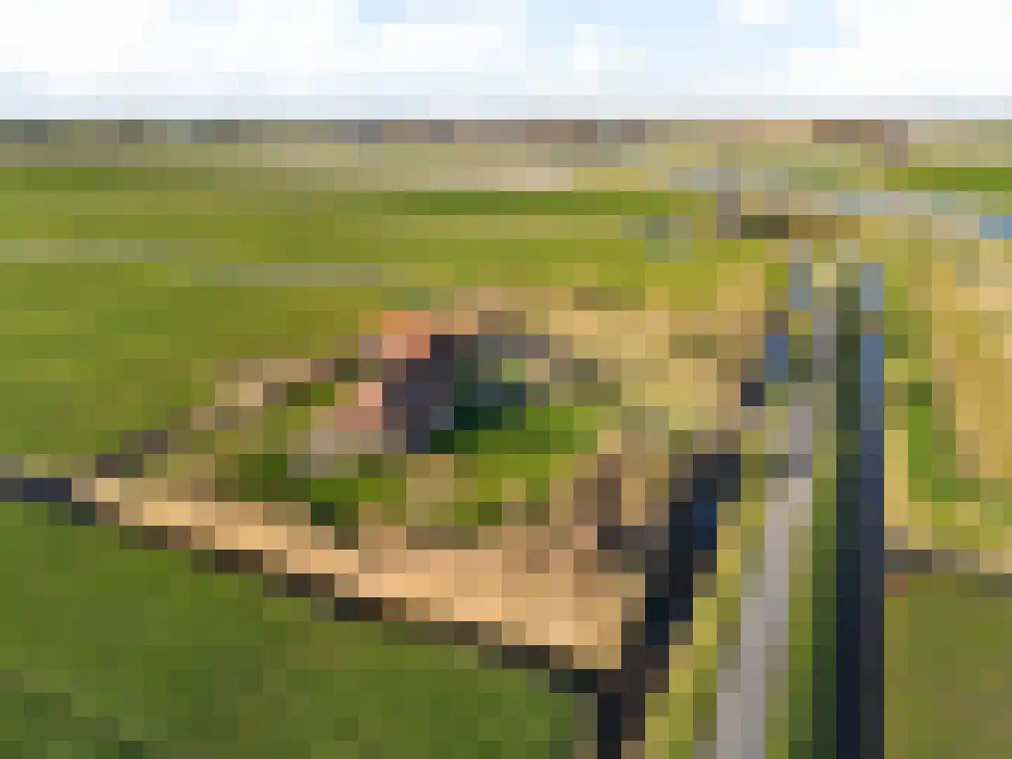 Molenweg 4 Burgerbrug thumbnail 56