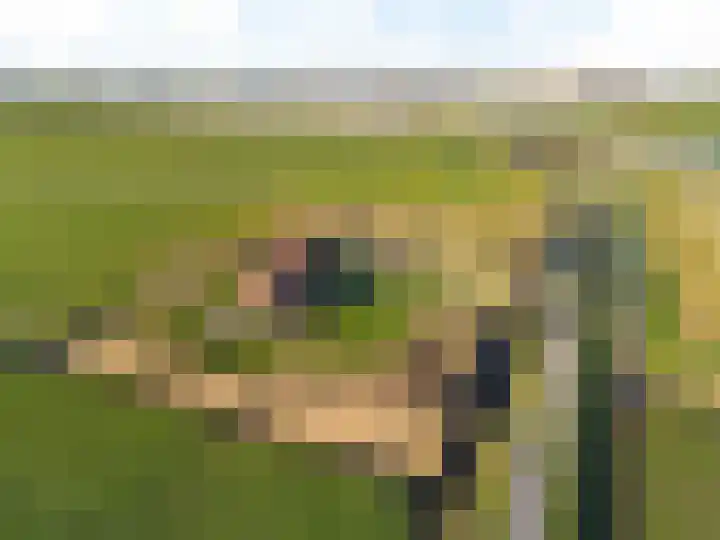 Molenweg 4 Burgerbrug thumbnail 56