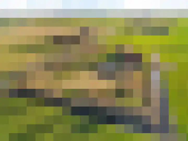 Molenweg 4 Burgerbrug thumbnail 57