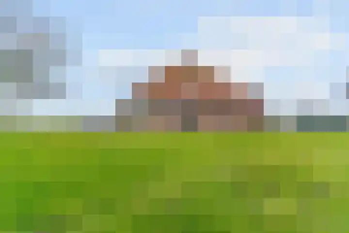 Molenweg 4 Burgerbrug thumbnail 73