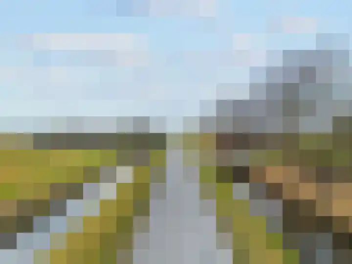 Molenweg 4 Burgerbrug thumbnail 80