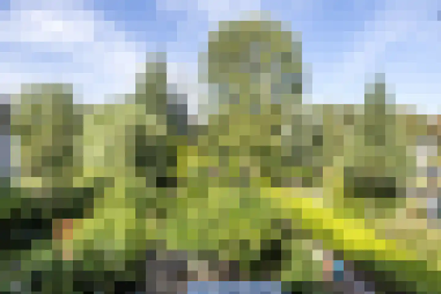 Molenweg 4 Gulpen thumbnail 14