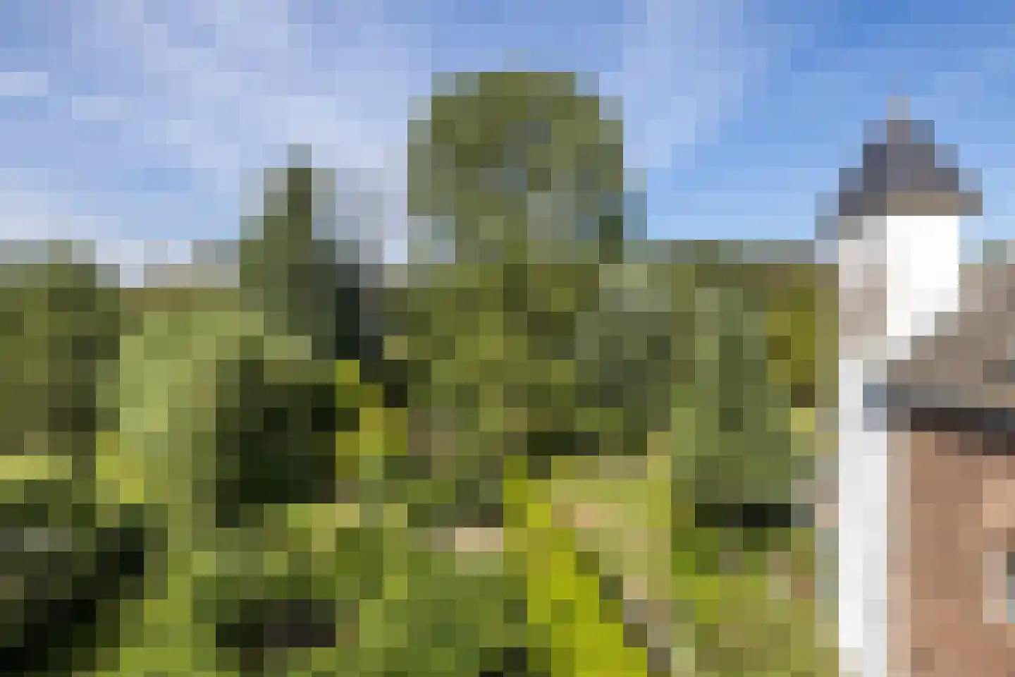 Molenweg 4 Gulpen thumbnail 20