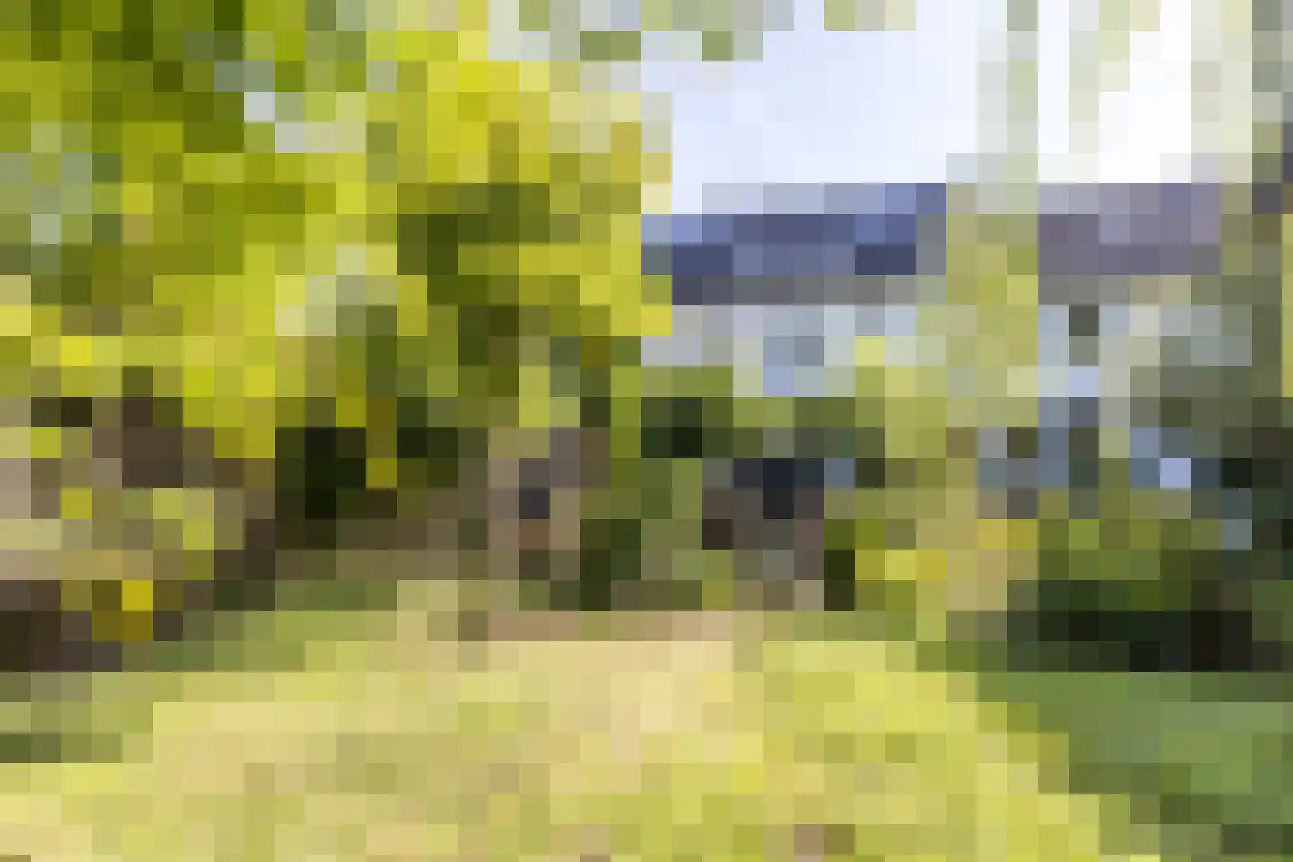 Molenweg 4 Gulpen thumbnail 22