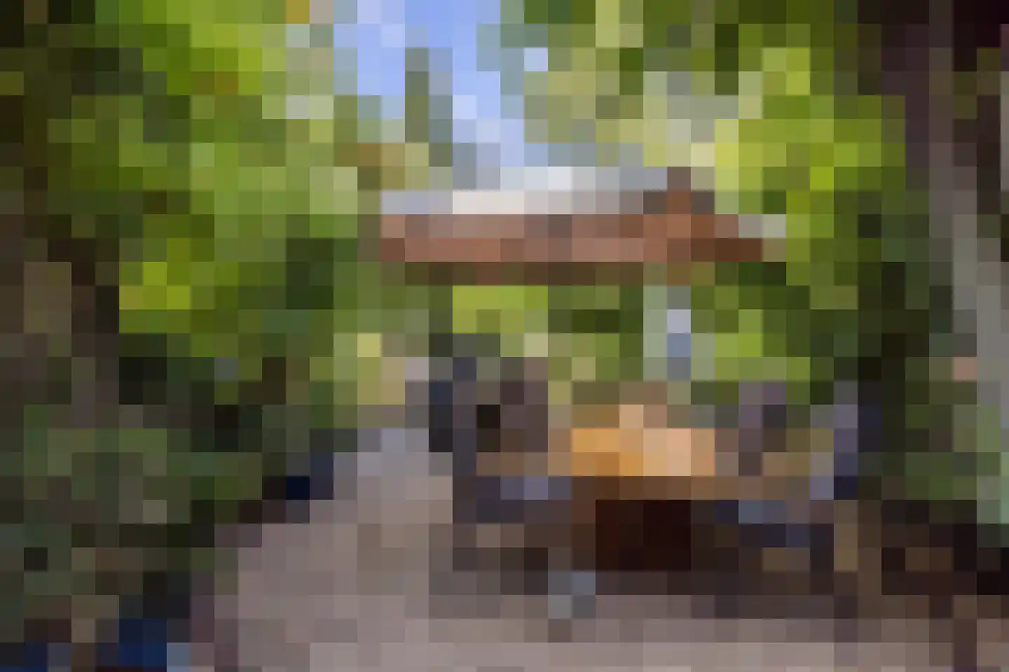 Molenweg 4 Gulpen thumbnail 24