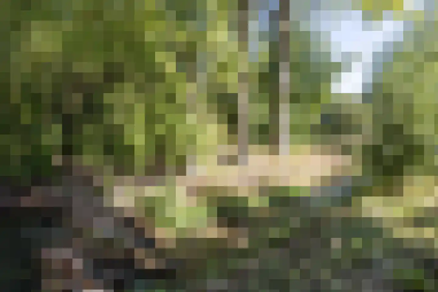 Molenweg 4 Gulpen thumbnail 25