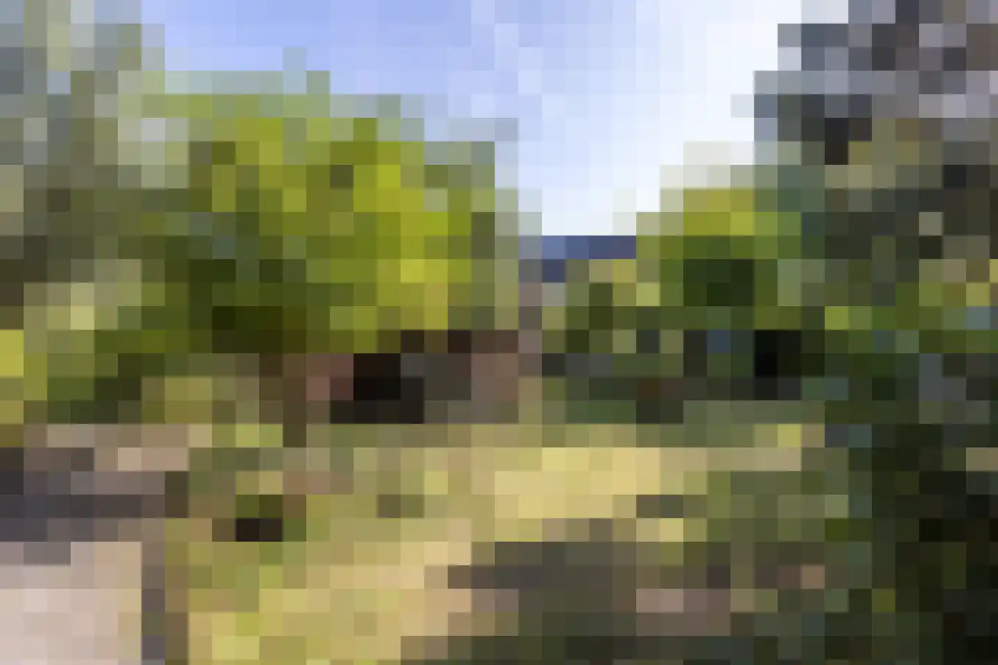 Molenweg 4 Gulpen thumbnail 26