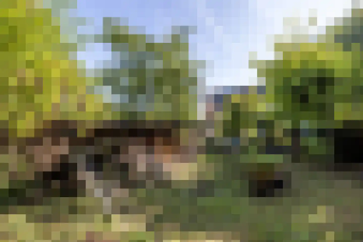 Molenweg 4 Gulpen thumbnail 27