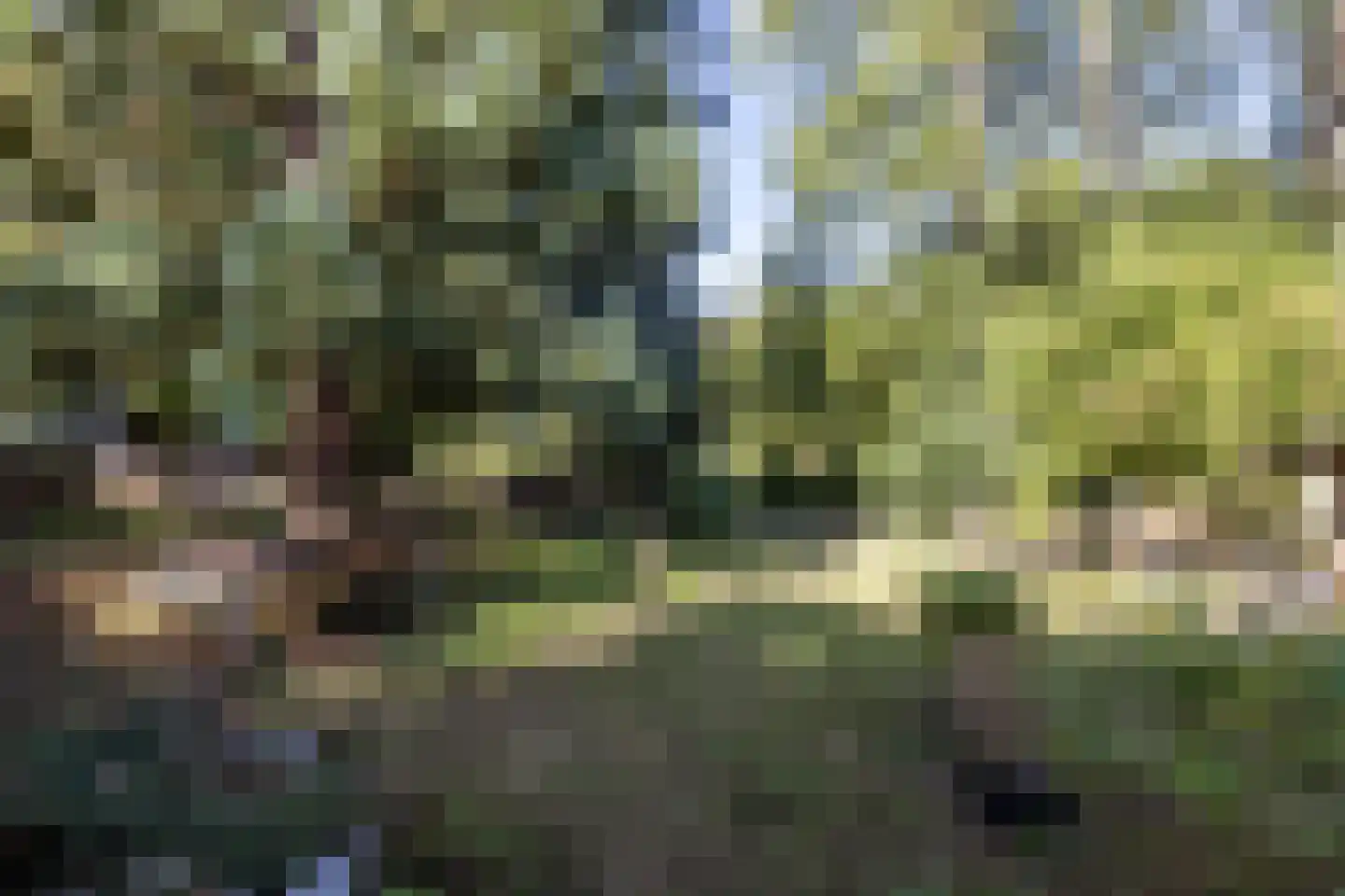 Molenweg 4 Gulpen thumbnail 28