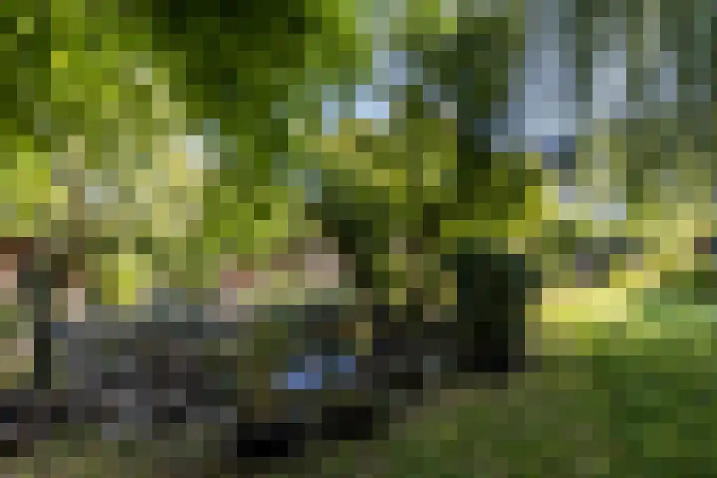 Molenweg 4 Gulpen thumbnail 29