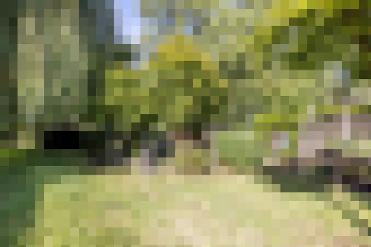 Molenweg 4 Gulpen thumbnail 30
