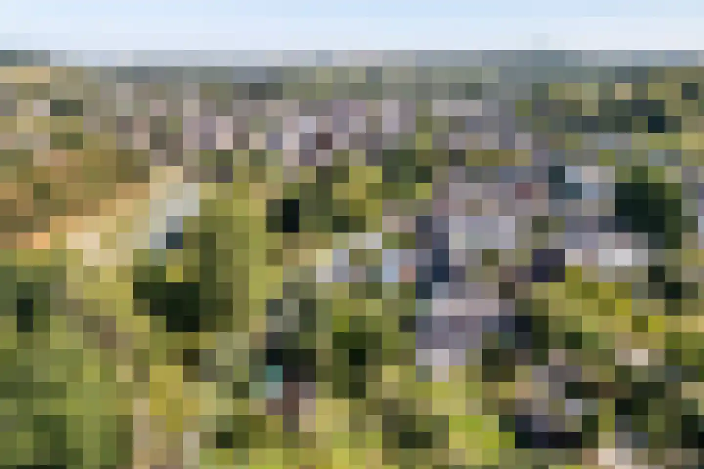 Molenweg 4 Gulpen thumbnail 33