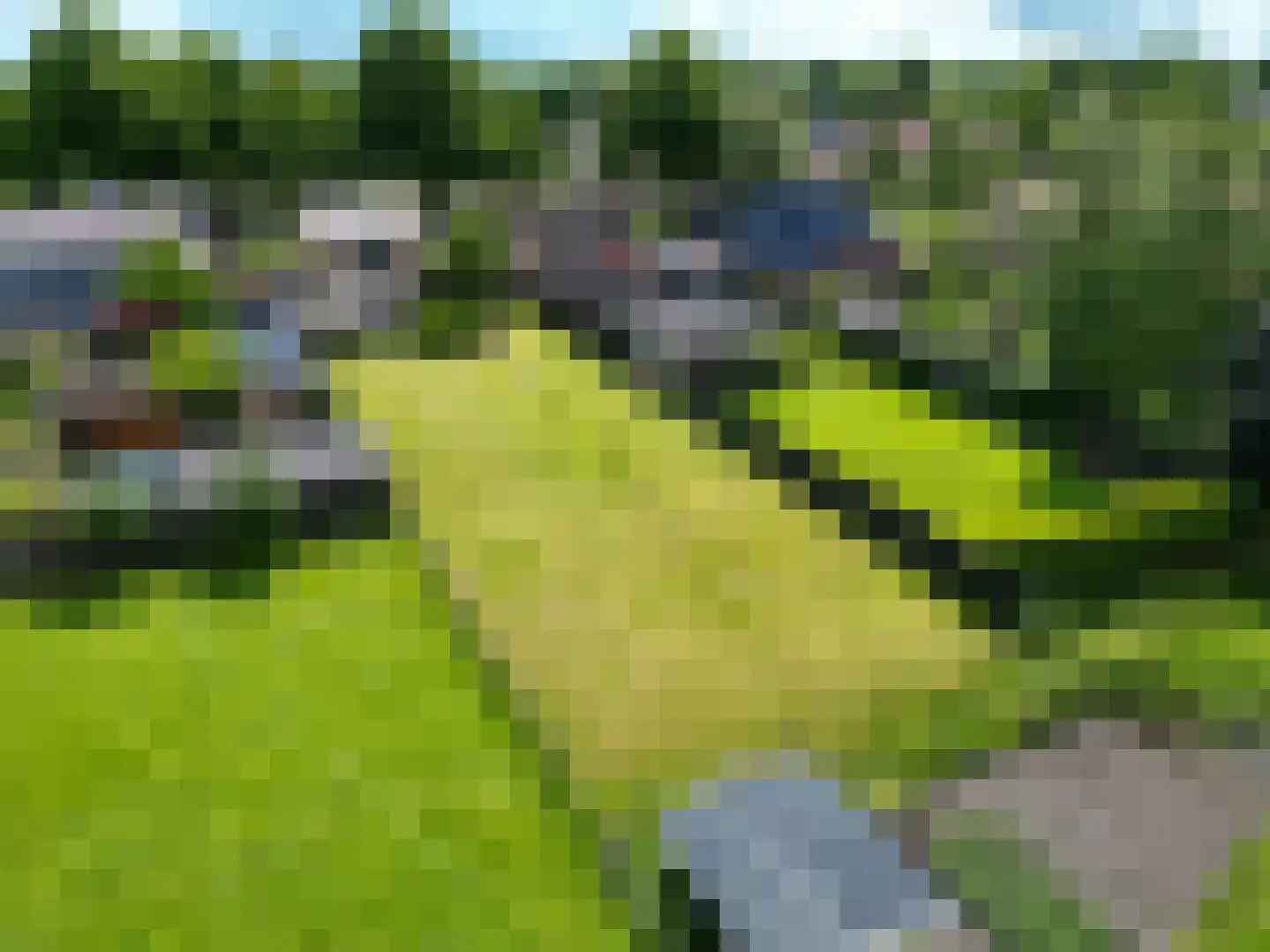Molenweg 4 Haulerwijk thumbnail 10