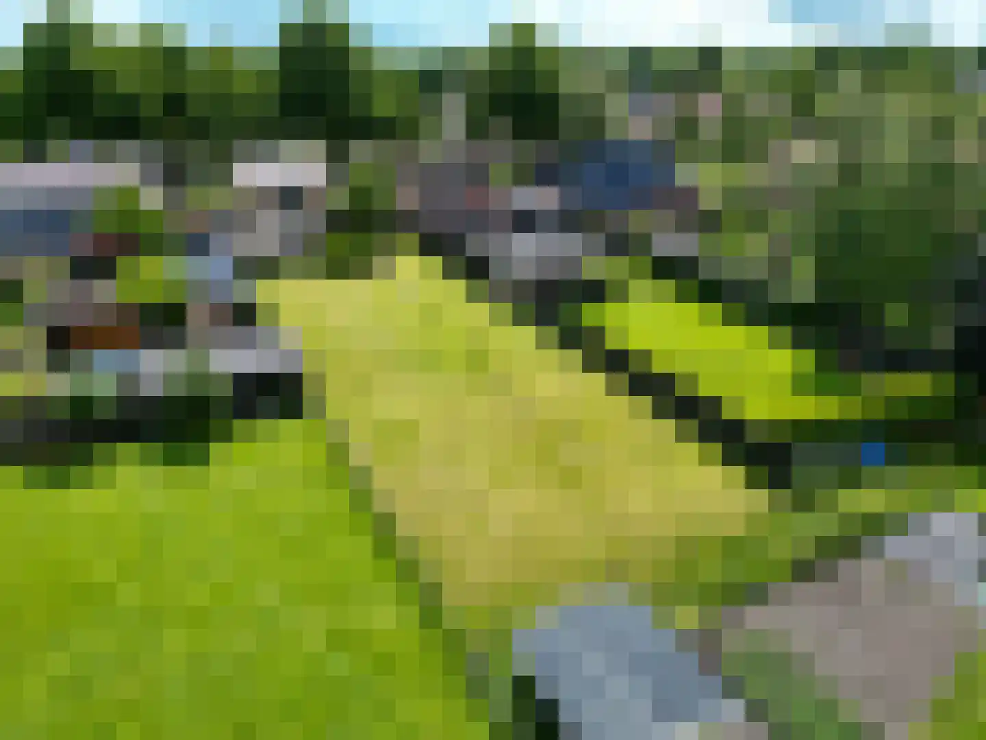 Molenweg 4 Haulerwijk thumbnail 10