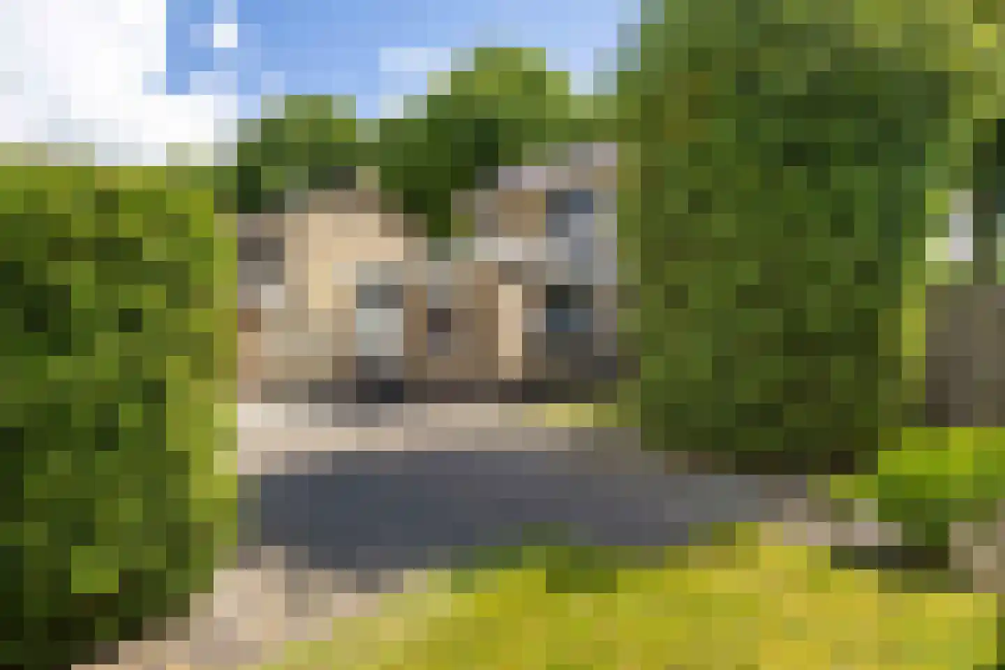 Molenweg 4 Haulerwijk thumbnail 38
