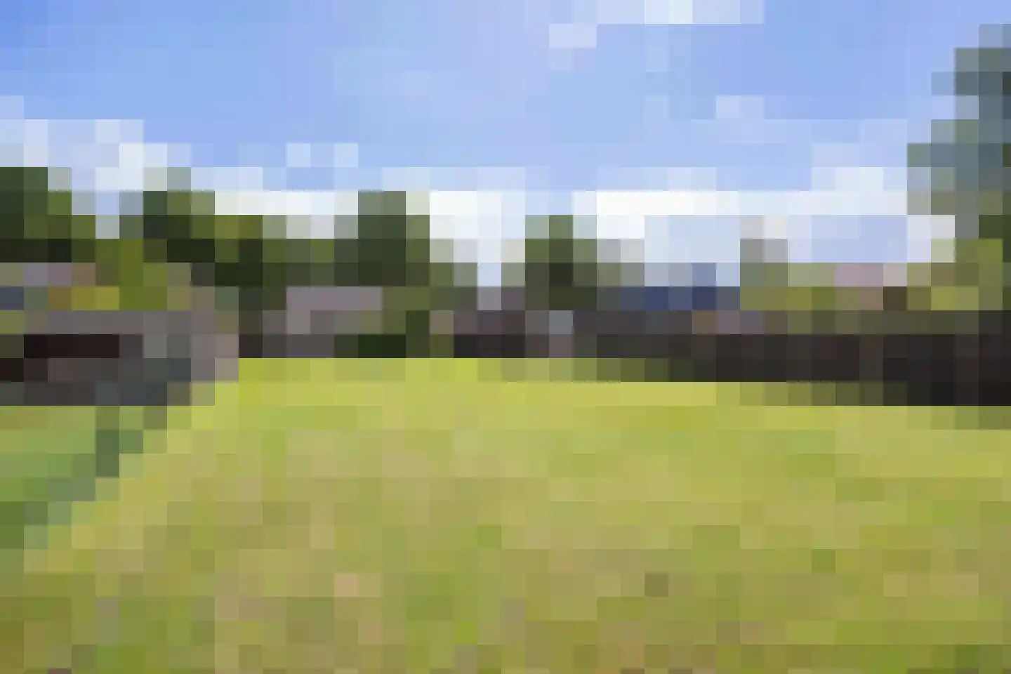 Molenweg 4 Haulerwijk thumbnail 4