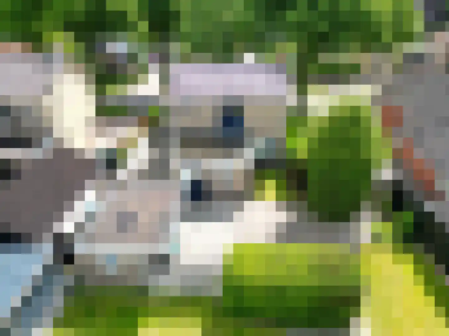 Molenweg 4 Haulerwijk thumbnail 40